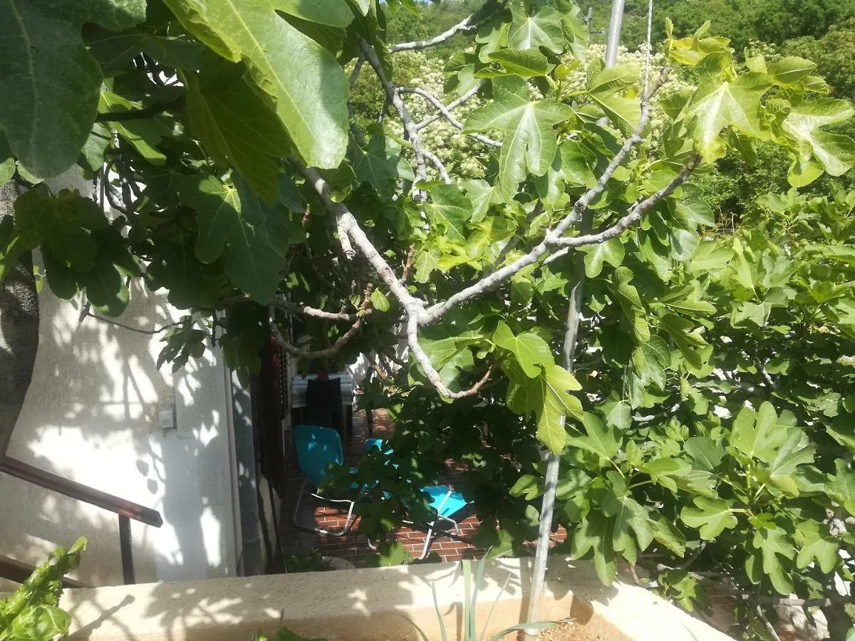Apartmán Apartman Legac Starigrad